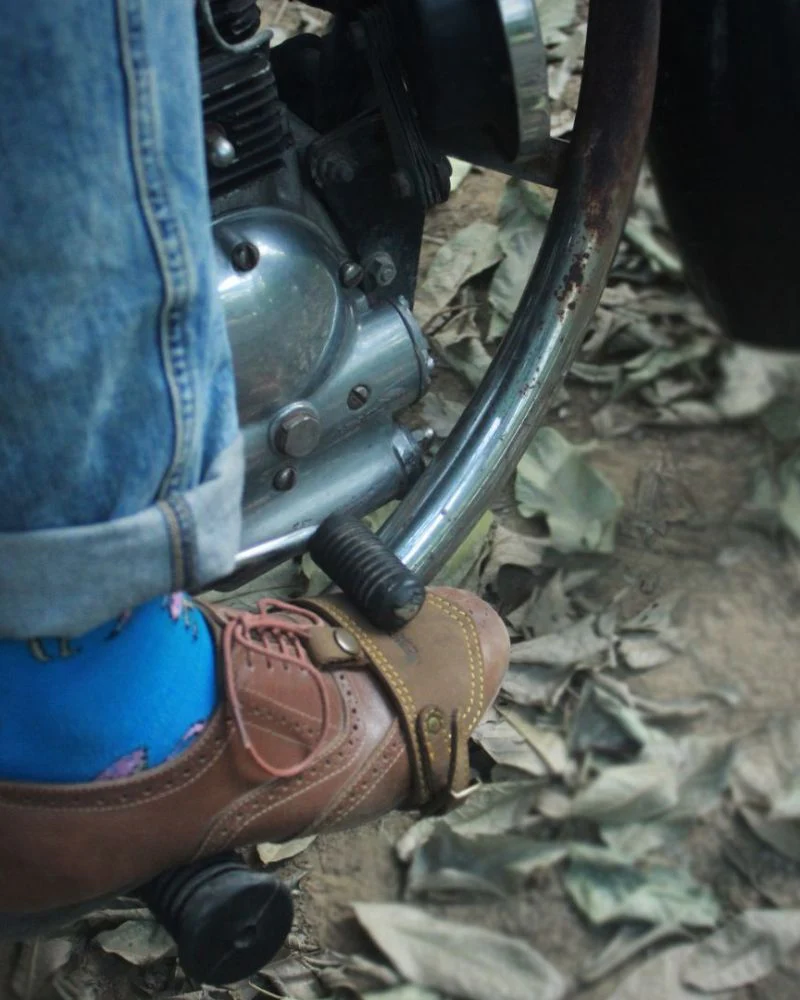 shoe protector classic - Image 28