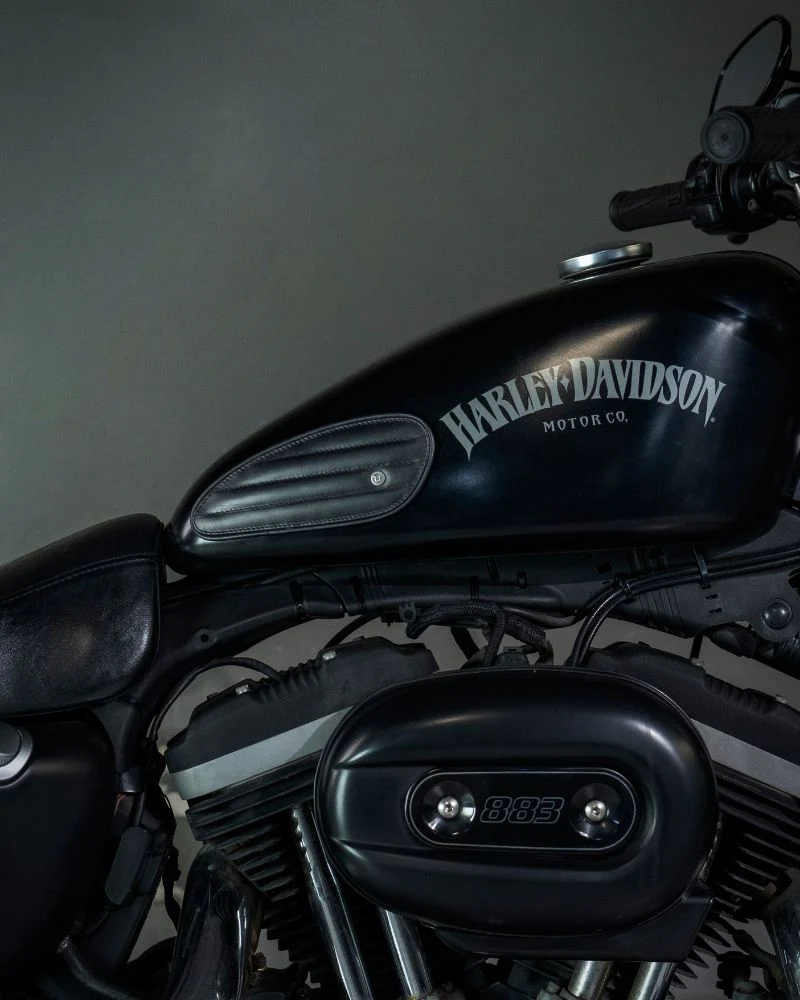 tank pads mini leather classic stripes - Image 9